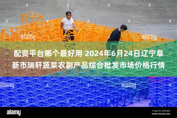 配资平台哪个最好用 2024年6月24日辽宁阜新市瑞轩蔬菜农副产品综合批发市场价格行情