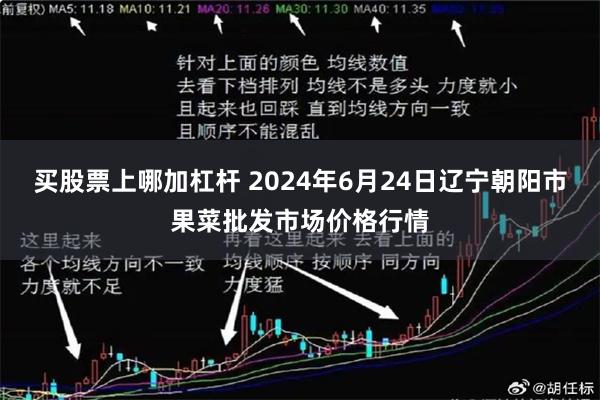 买股票上哪加杠杆 2024年6月24日辽宁朝阳市果菜批发市场价格行情