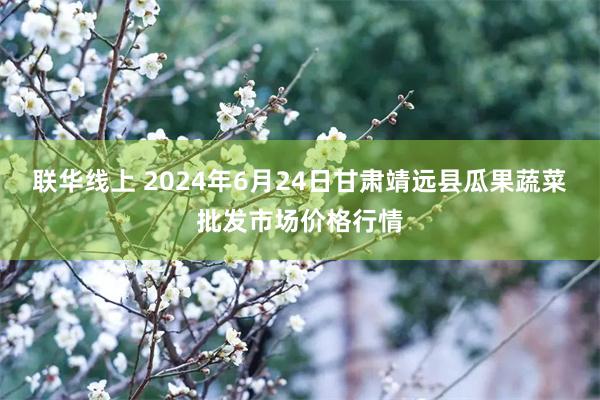 联华线上 2024年6月24日甘肃靖远县瓜果蔬菜批发市场价格行情