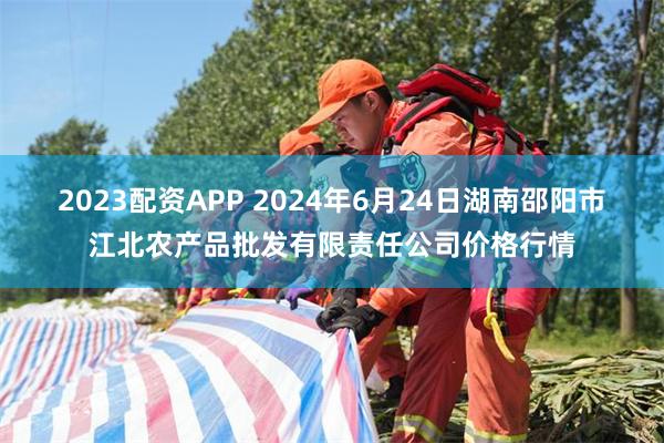 2023配资APP 2024年6月24日湖南邵阳市江北农产品批发有限责任公司价格行情