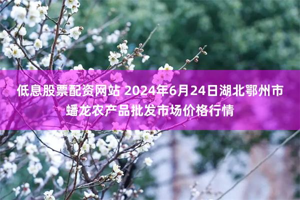 低息股票配资网站 2024年6月24日湖北鄂州市蟠龙农产品批发市场价格行情