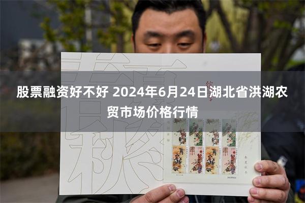 股票融资好不好 2024年6月24日湖北省洪湖农贸市场价格行情