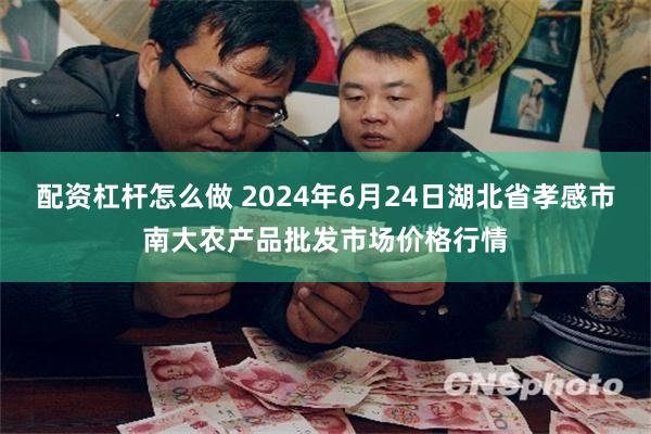 配资杠杆怎么做 2024年6月24日湖北省孝感市南大农产品批发市场价格行情