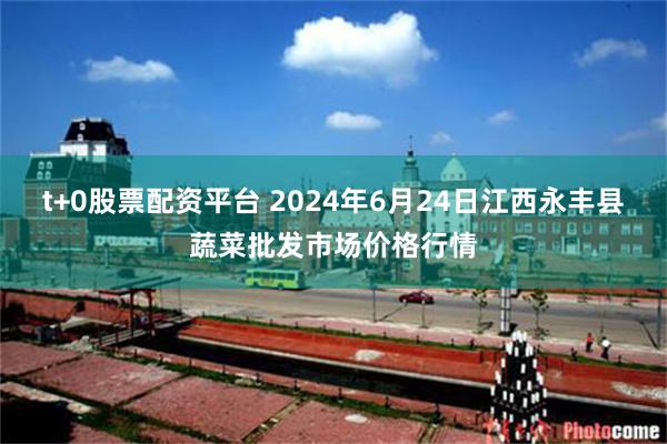 t+0股票配资平台 2024年6月24日江西永丰县蔬菜批发市场价格行情