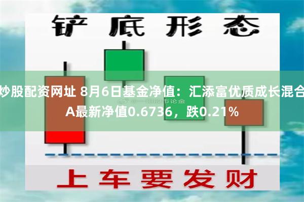 炒股配资网址 8月6日基金净值：汇添富优质成长混合A最新净值0.6736，跌0.21%