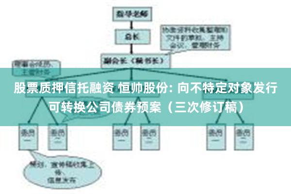 股票质押信托融资 恒帅股份: 向不特定对象发行可转换公司债券预案（三次修订稿）