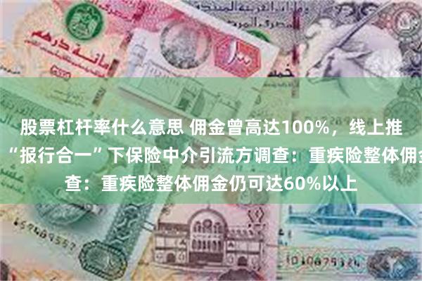 股票杠杆率什么意思 佣金曾高达100%，线上推广保险年入百万？“报行合一”下保险中介引流方调查：重疾险整体佣金仍可达60%以上