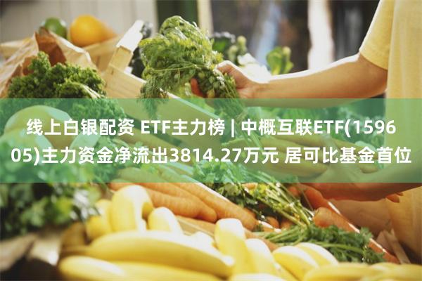 线上白银配资 ETF主力榜 | 中概互联ETF(159605)主力资金净流出3814.27万元 居可比基金首位