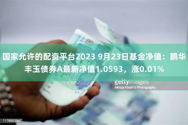 国家允许的配资平台2023 9月23日基金净值：鹏华丰玉债券A最新净值1.0593，涨0.01%