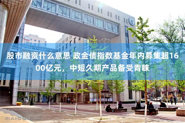 股市融资什么意思 政金债指数基金年内募集超1600亿元，中短久期产品备受青睐