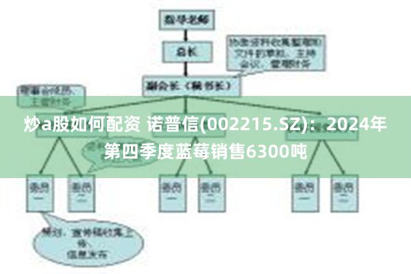 炒a股如何配资 诺普信(002215.SZ)：2024年第四季度蓝莓销售6300吨