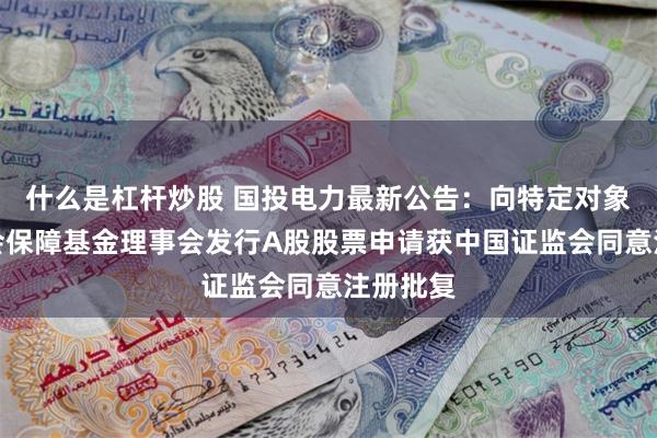 什么是杠杆炒股 国投电力最新公告：向特定对象全国社会保障基金理事会发行A股股票申请获中国证监会同意注册批复